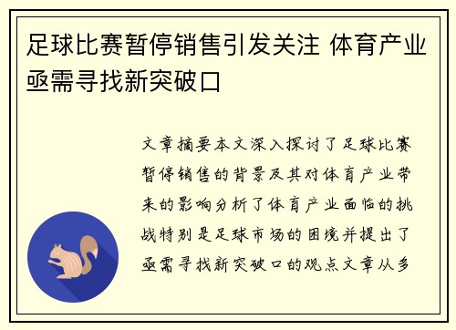 足球比赛暂停销售引发关注 体育产业亟需寻找新突破口