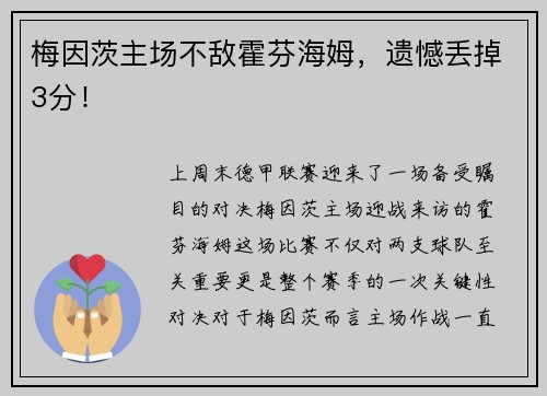 梅因茨主场不敌霍芬海姆，遗憾丢掉3分！