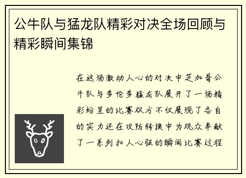 公牛队与猛龙队精彩对决全场回顾与精彩瞬间集锦